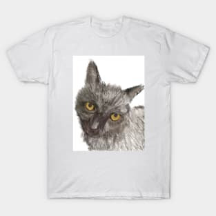 Black Cat Art T-Shirt